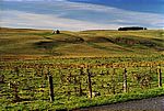 Landschaft im n&ouml;rdlichen Cantal