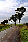 Bei Flavigny sur Ozérain