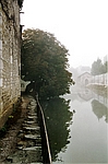 Chablis im Nebel