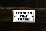 Chat bizarre