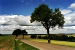 Landschaft