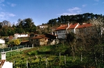 Casa Goris