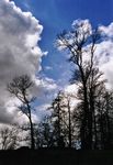 Lettlands Landschaft und Städte