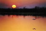 Sonnenuntergang (3)