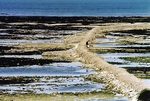 Île de Ré