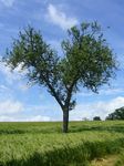 Paysage