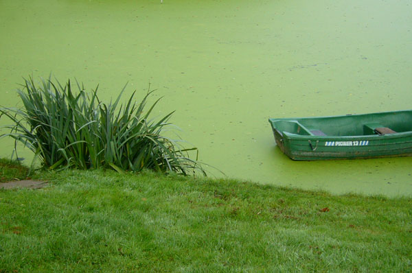 Normandie Rambouillet, Schloßpark