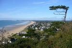 Pignon Butor