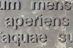 Auch