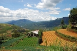 Landschaft bei Nuwara Eliya