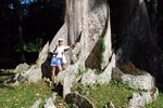 Botanischer Garten Peradeniya