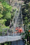Botanischer Garten Peradeniya