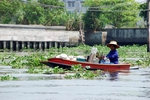 Khlongs
