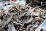 Markt in Khao Lak
