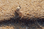 Khao Lak